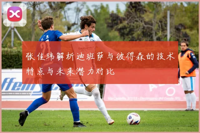 张佳玮解析迪班萨与彼得森的技术特点与未来潜力对比